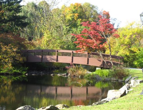 Armonk extra